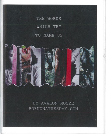 Cover Image for The Words Which Try to Name Us