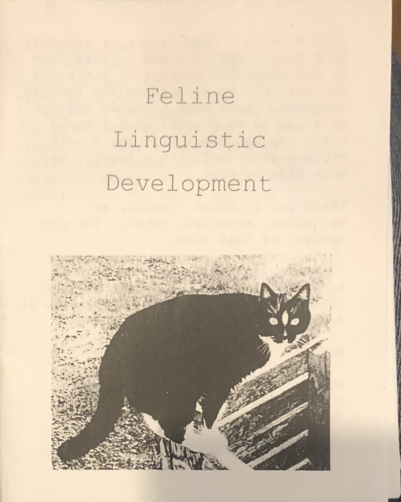 Black and white photo of a cat under title text