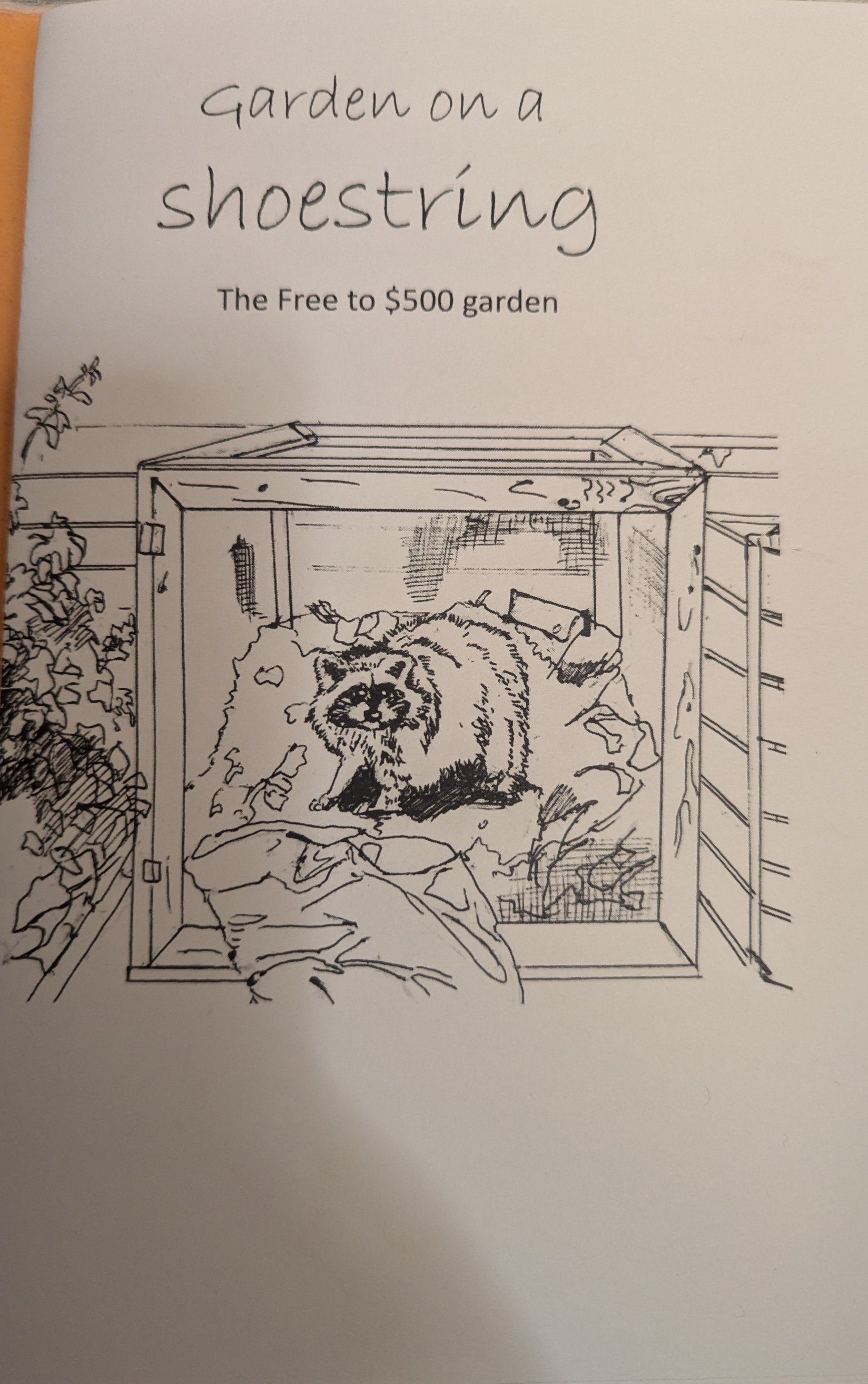 Image of a racoon in a composting box